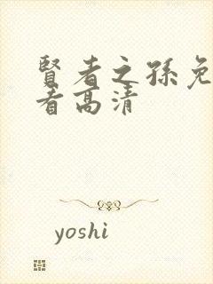 贤者之孙免费观看高清