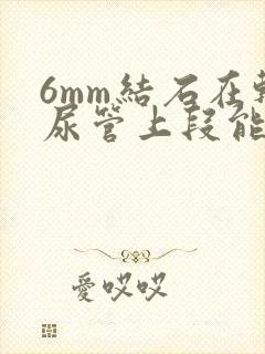 6mm结石在输尿管上段能排出吗