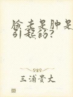 脸老是肿是怎么引起的?