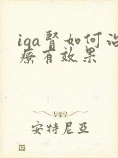 iga肾如何治疗有效果