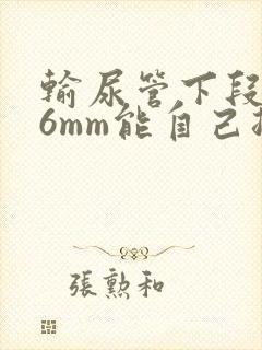 输尿管下段结石6mm能自己排出来吗