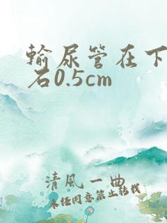 输尿管在下段结石0.5cm