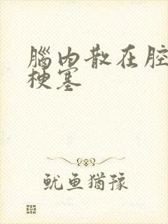 脑内散在腔隙性梗塞