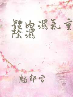 体内湿气重快速除湿