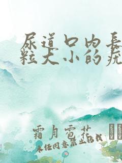 尿道口内长有米粒大小的疣