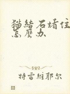 猫结石堵住尿道怎么办