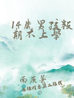 14岁男孩叛逆期不上学