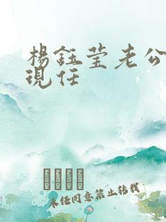 杨钰莹老公是谁现任