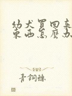 幼犬买回来不吃东西怎么办