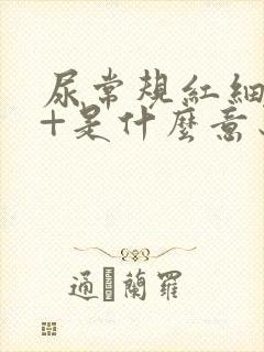 尿常规红细胞3+是什么意思