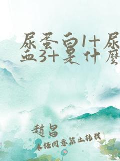 尿蛋白1+尿隐血3+是什么意思