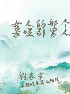 女人的哪个部位最吸引男人