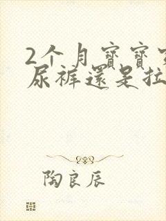 2个月宝宝穿纸尿裤还是拉拉裤