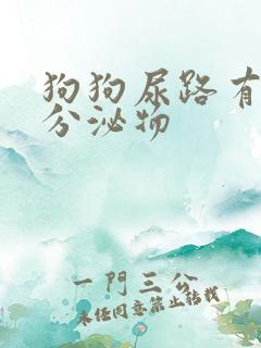 狗狗尿路有黄色分泌物