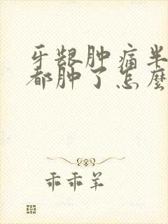 牙龈肿痛半边脸都肿了怎么办