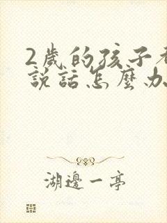 2岁的孩子都不说话怎么办