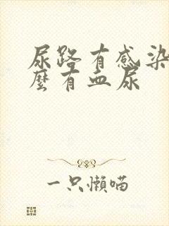 尿路有感染为什么有血尿