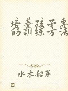 培养孩子专注力的训练方法机构