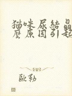 猫咪尿结晶是什么原因引起的