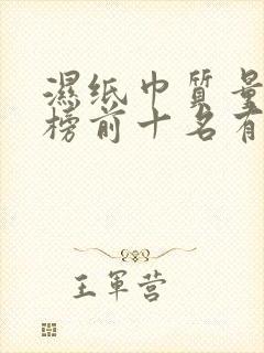 湿纸巾质量排行榜前十名有哪些