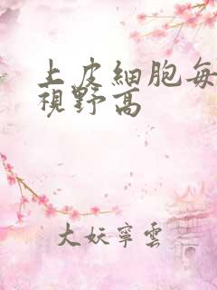 上皮细胞每高倍视野高