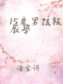 15岁男孩叛逆厌学