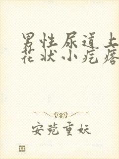 男性尿道上长菜花状小疙瘩