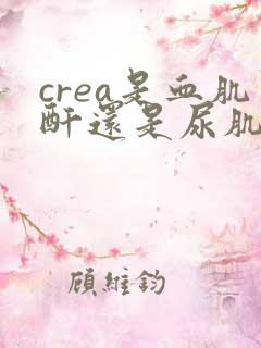 crea是血肌酐还是尿肌酐