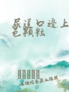 尿道口边上有白色颗粒