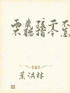 两岁孩子不说话不听指令怎么办