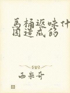 马桶返味什么原因造成的