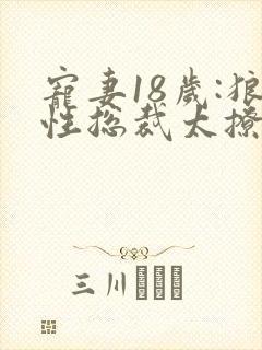 宠妻18岁:狼性总裁太撩人