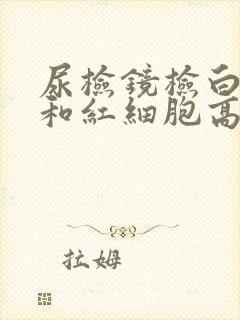 尿检镜检白细胞和红细胞高是怎么回事