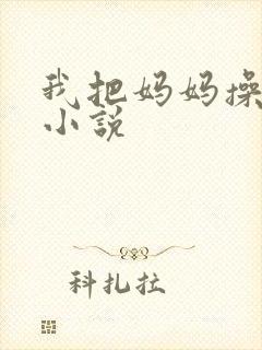 我把妈妈操怀孕小说