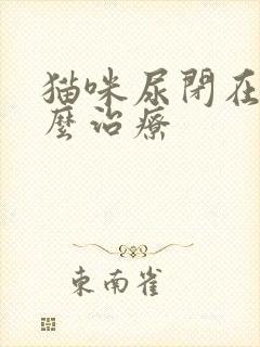 猫咪尿闭在家怎么治疗