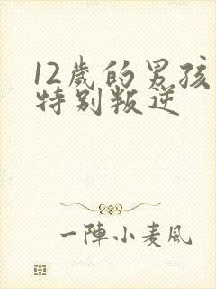 12岁的男孩子特别叛逆