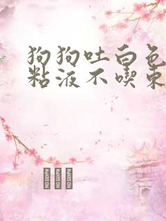 狗狗吐白色泡沫粘液不吃东西怎么办