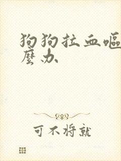 狗狗拉血呕吐怎么办