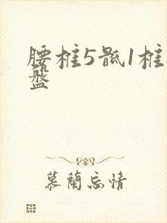 腰椎5骶1椎间盘