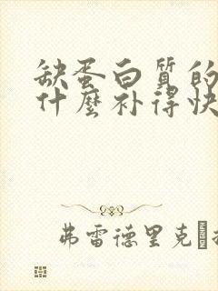 缺蛋白质的人吃什么补得快