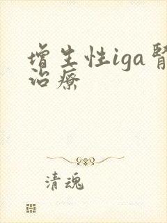 增生性iga肾治疗