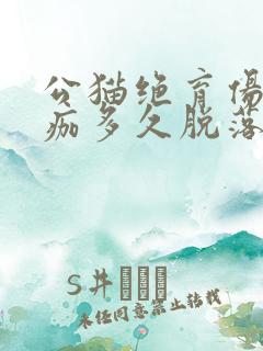 公猫绝育伤口结痂多久脱落