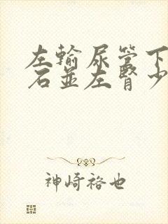 左输尿管下段结石并左肾少量积液