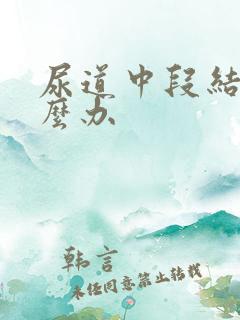 尿道中段结石怎么办