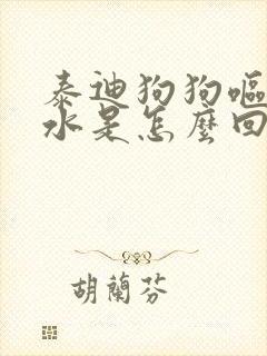 泰迪狗狗呕吐黄水是怎么回事