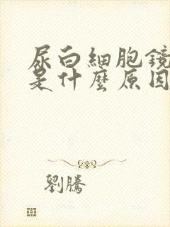 尿白细胞镜检高是什么原因