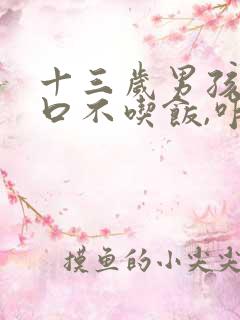 十三岁男孩没胃口不吃饭,咋办