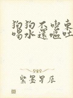 狗狗不吃东西只喝水还呕吐