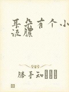 耳朵有个小洞会流脓