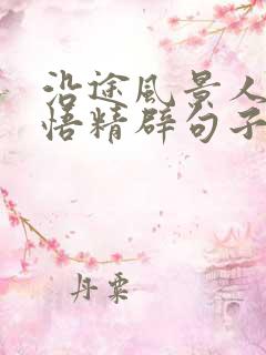 沿途风景人生感悟精辟句子